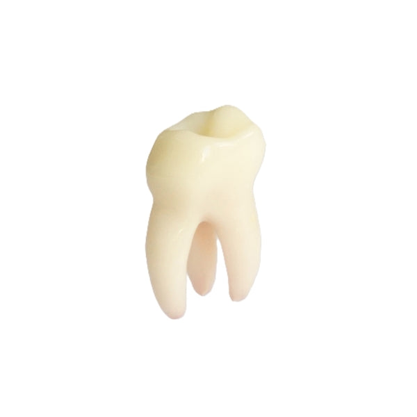 Atsarginis pieninis dantis EduDent Pedoprep – opakinis, 1 vnt. – 54