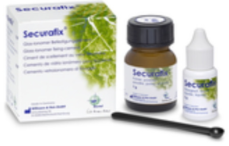 WP Dental Securafix