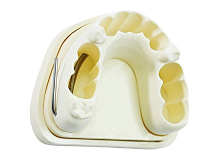 Endodontinis modelis EduDent Realendo – viršutinis žandikaulis