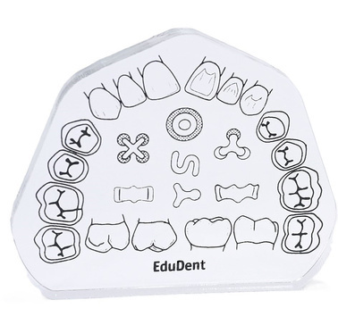 Preparavimo blokas EduDent Caviprep – skaidrus, 1 vnt.